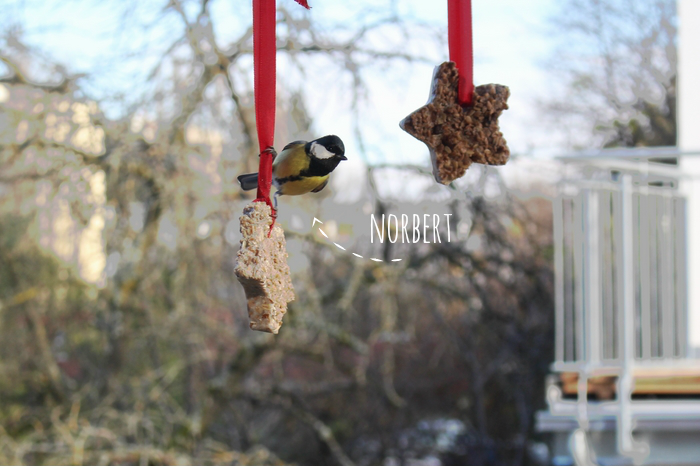 DIY - Vogelfutter Sterne