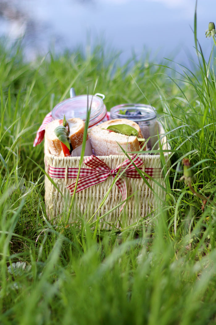 Die schönsten Picknickplätze in Graz - #2 Veggie to go am Thalersee