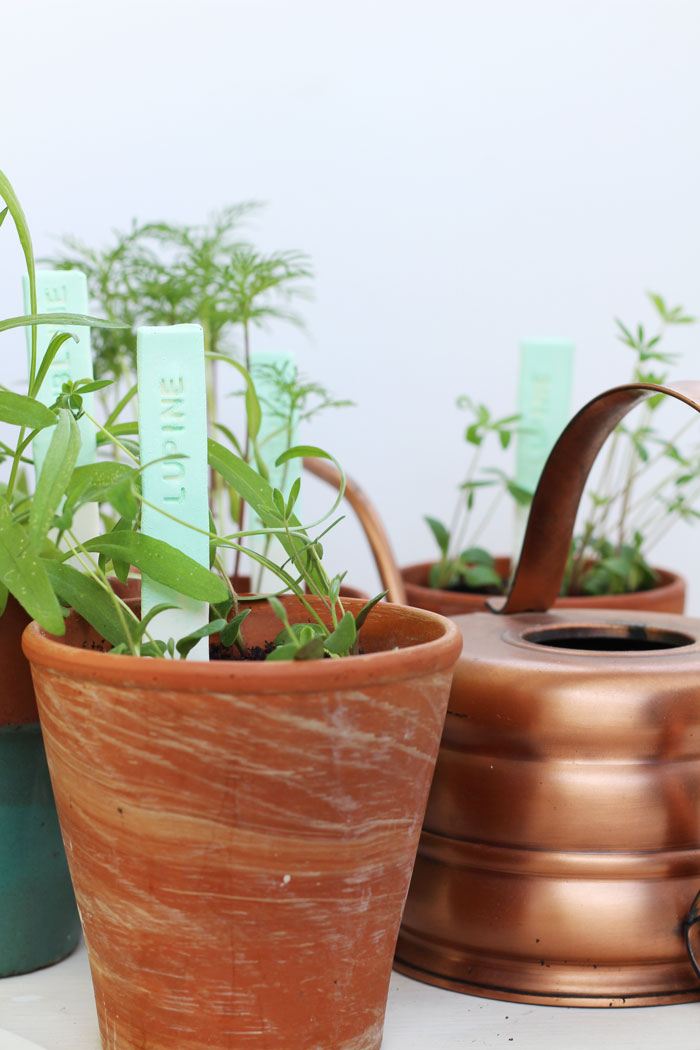 Pflanzenbeschriftung für Balkonblumen // provinzkindchen.com