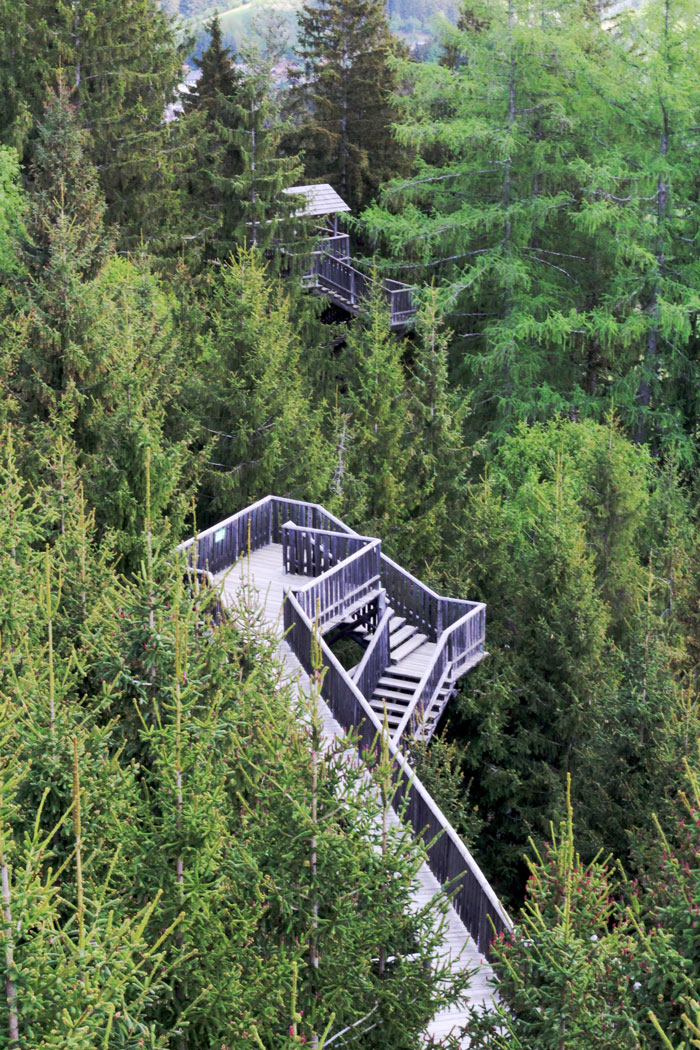 Wipfelwanderweg Rachau