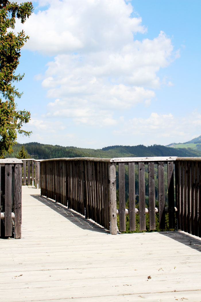 Wipfelwanderweg Rachau