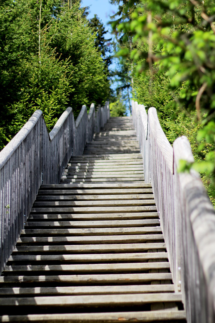 Wipfelwanderweg Rachau