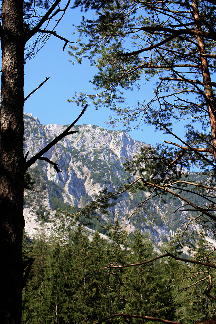 Grüner See Tragöß Ausflugstipp