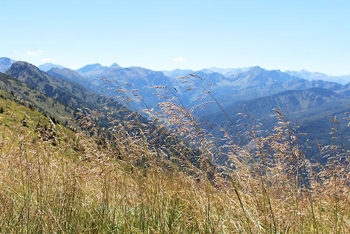 Ausflugstipp: Wanderung von der Reiteralm zum Spiegelsee