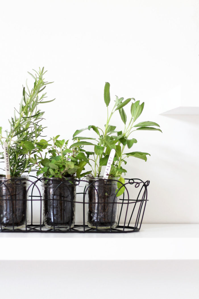 DIY Kräutergarten für die Küche im Lieblingsglas