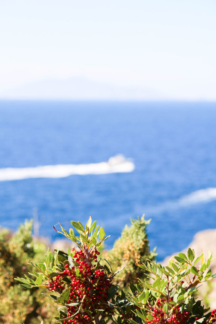 Ein Tagesausflug nach Capri 