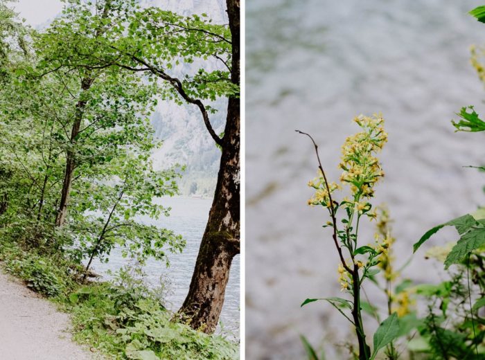 Ausflugstipp: Rundgang um den Leopoldsteinersee