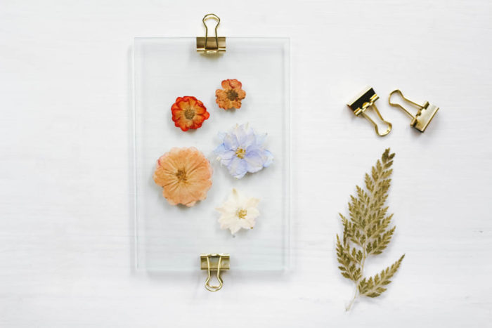 DIY Bilderrahmen mit gepressten Blüten, Blättern oder Federn